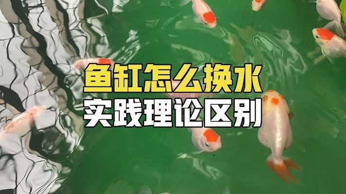 金龍魚(yú)魚(yú)缸怎么換水，金龍魚(yú)的換水方法