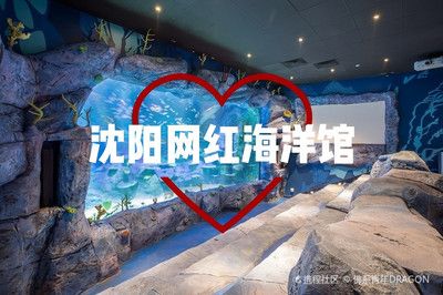 銀龍魚翹嘴怎么修復(fù)視頻教學(xué)，銀龍魚翹嘴怎么辦 水族問答