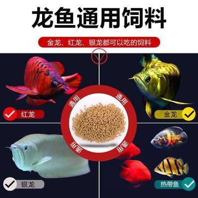 龍魚魚食哪個牌子好一點耐用又實惠的，龍魚魚食哪個牌子好？ 龍魚百科 第2張