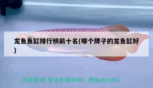 龍魚魚缸排行榜前十名有哪些品種，2024年龍魚魚缸品牌性價比排行榜前十名包括森森、歐寶 魚缸百科 第1張