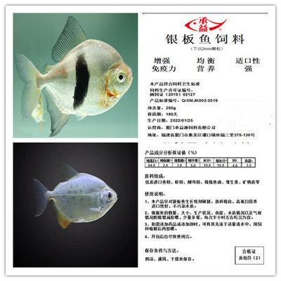 銀版魚(yú)特殊飼料效果對(duì)比 觀賞魚(yú)市場(chǎng)（混養(yǎng)魚(yú)） 第5張