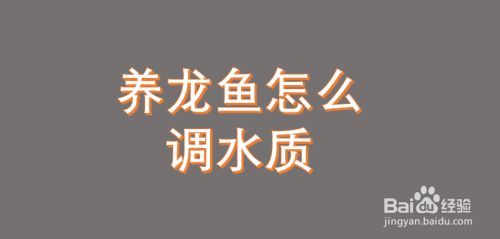 龍魚缸水質(zhì)不好怎么處理方法，如何判斷龍魚缸需換水 魚缸百科 第4張