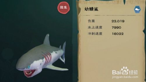 鯊魚飼料選擇與搭配，《創(chuàng)造與魔法》鯊魚飼料選擇與搭配方案，鯊魚飼料選擇與搭配方案 虎魚百科 第4張