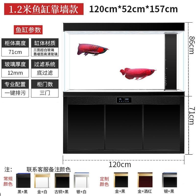 龍魚缸的最佳高度，龍魚缸的最佳高度應(yīng)為10-15英寸 魚缸百科 第4張