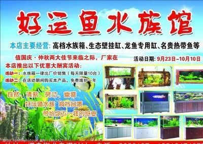 龍魚魚缸推薦品種，龍魚魚缸推薦品牌 魚缸百科 第4張