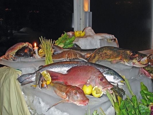 雷龍魚種類大全，雷龍魚中最貴和最貴和最稀少的品種之一的雷龍魚 龍魚百科 第4張