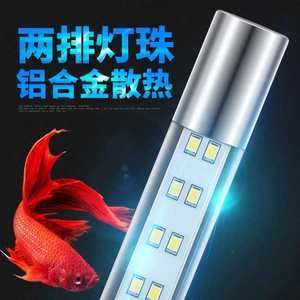 龍魚燈管多久換，如何選擇適合龍魚的燈管 龍魚百科 第5張