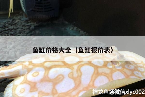 龍魚魚缸過濾盒哪里買，龍魚魚缸過濾盒如何選擇 魚缸百科 第3張