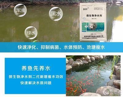 龍魚缸維他命使用方法，黑水素與維他命配比指南, 魚缸百科 第5張