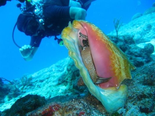 金龍魚魚缸怎么安裝，金龍魚魚缸安裝方法 魚缸百科 第4張