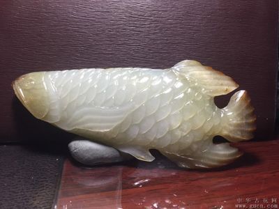 龍魚拍賣價(jià)格，龍魚拍賣價(jià)格影響因素 龍魚百科 第2張