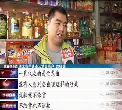 金龍魚業(yè)務員怎么樣 龍魚百科 第3張