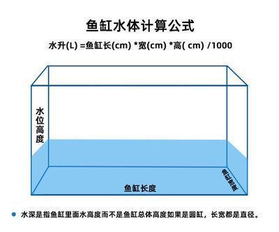 龍魚水位多高最好，龍魚的理想水位在30-50厘米之間 龍魚百科 第1張