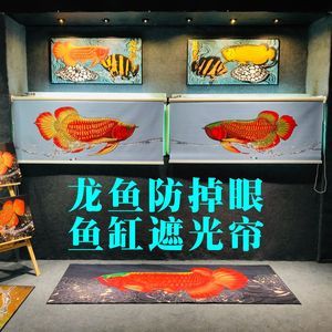 龍魚可以用藥水上色嗎，如何給龍魚上色 龍魚百科 第4張