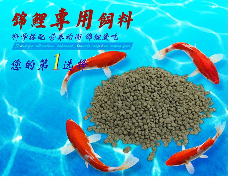 觀賞魚飼料營養(yǎng)均衡搭配，觀賞魚飼料的營養(yǎng)均衡搭配 觀賞魚市場（混養(yǎng)魚） 第4張