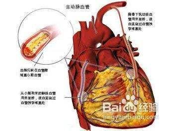 龍魚有營養(yǎng)嗎，龍魚與鱈魚營養(yǎng)對比，龍魚營養(yǎng)對比 龍魚百科 第4張