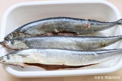 高背金龍魚價(jià)格多少一條，購買高背金龍魚需要多少預(yù)算？ 水族問答