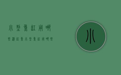 飛鳳魚(yú)理想生長(zhǎng)環(huán)境設(shè)定，飛鳳魚(yú)最佳水溫范圍，如何預(yù)防飛鳳魚(yú)疾病，飛鳳魚(yú)日常飲食搭配