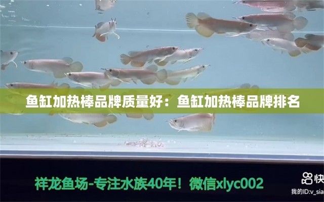 什么牌子的魚缸加熱棒比較好，魚缸加熱棒品牌性價比排行