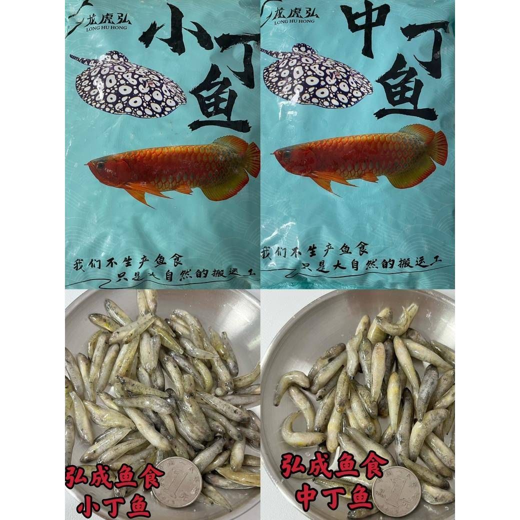 藍(lán)龍虎魚特殊飼料購買途徑，藍(lán)龍虎魚特殊飼料的購買途徑 虎魚百科 第1張