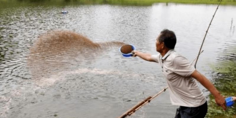 如何減少虎魚應(yīng)激反應(yīng)，減少虎魚應(yīng)激反應(yīng)的方法