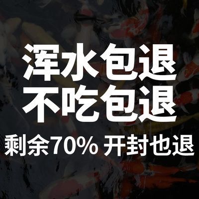 繁殖后成魚飼料選擇指南，繁殖后成魚的飼料選擇 觀賞魚市場(chǎng)（混養(yǎng)魚） 第3張