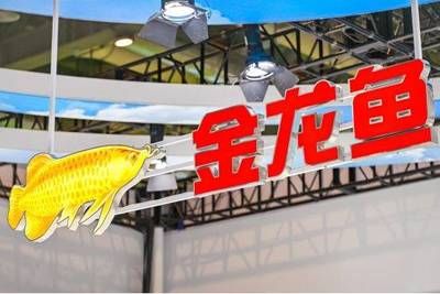 金龍魚陽江，金龍魚陽江調味品工廠投產 龍魚百科 第2張