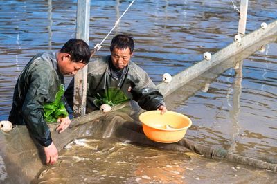 刀魚人工養(yǎng)殖技術(shù)進(jìn)展，刀魚人工養(yǎng)殖技術(shù)取得顯著進(jìn)展得到更顯著進(jìn)展的應(yīng)用 魚缸百科 第5張