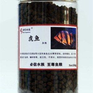 泰國虎魚飼料品牌推薦，泰國虎魚活餌喂養(yǎng)技巧 虎魚百科 第1張