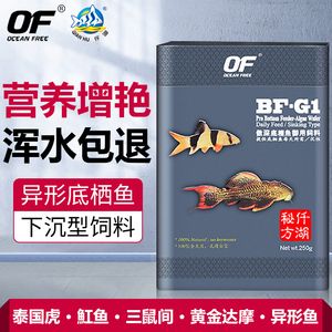 泰國虎魚飼料品牌推薦，泰國虎魚活餌喂養(yǎng)技巧 虎魚百科 第4張