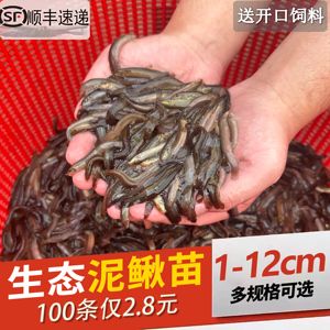 臻龍魚缸怎么樣，關(guān)于臻龍魚缸的問題 水族問答