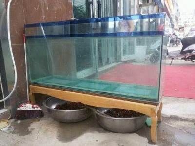 魚缸缺點末，如何提高魚缸水質穩(wěn)定性？ 魚缸百科 第4張