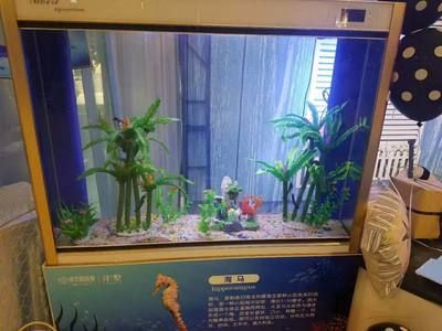 負壓魚缸的壞處，如何降低負壓魚缸能耗 魚缸百科 第3張