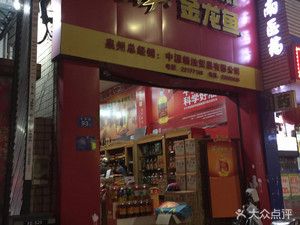 金龍魚(yú)專賣(mài)店怎么樣，金龍魚(yú)專賣(mài)店在產(chǎn)品質(zhì)量、價(jià)格、服務(wù)、品種選擇和品種選擇 龍魚(yú)百科 第2張