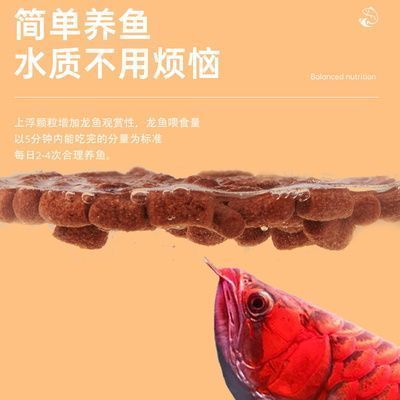 銀龍魚(yú)最佳飼養(yǎng)環(huán)境，銀龍魚(yú)最佳飼養(yǎng)環(huán)境應(yīng)具備以下條件：水溫應(yīng)在24-28攝氏度之間 虎魚(yú)百科 第2張