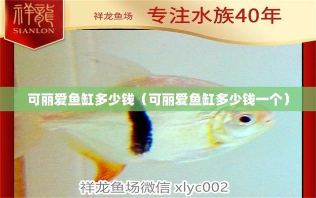 可麗愛魚缸旗艦店是正品嗎多少錢，可麗愛魚缸旗艦店是正品嗎 魚缸百科 第4張