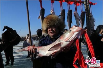 哈爾濱龍魚(yú)灣垂釣園怎么樣呀收費(fèi)嗎，哈爾濱龍魚(yú)灣垂釣園的營(yíng)業(yè)時(shí)間為每天9點(diǎn)至下午6點(diǎn)至下午6點(diǎn) 水族問(wèn)答