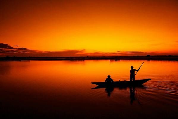 紅頭利魚與紅老虎魚混養(yǎng)風(fēng)險(xiǎn)，如何緩解觀賞魚混養(yǎng)沖突,紅頭利魚與紅老虎魚的區(qū)別 虎魚百科 第4張