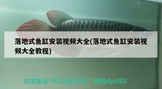 落地式魚(yú)缸配件怎樣組裝視頻，落地式魚(yú)缸安裝視頻 魚(yú)缸百科 第4張