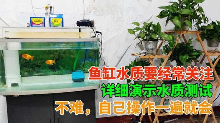 魚缸水質(zhì)檢測方法介紹，魚缸水質(zhì)檢測 觀賞魚市場（混養(yǎng)魚） 第2張