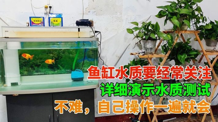 魚缸水質(zhì)檢測方法介紹，魚缸水質(zhì)檢測 觀賞魚市場（混養(yǎng)魚） 第3張