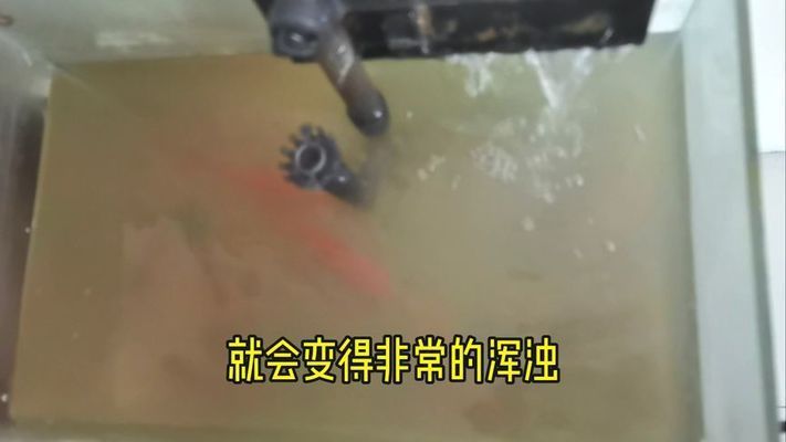 魚缸里的水突然渾濁是什么原因，如何正確使用魚缸凈水劑