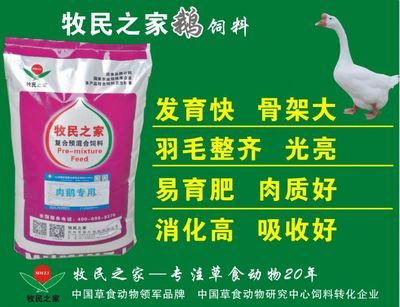 大日玉鯖魚飼料品牌推薦，大日玉鯖魚專用飼料配方 觀賞魚市場(chǎng)（混養(yǎng)魚） 第1張