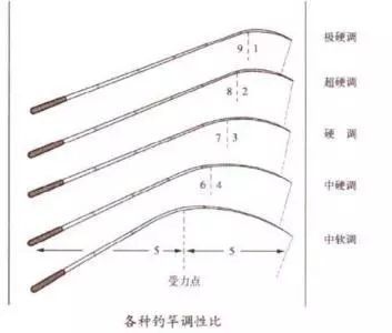 青龍魚竿參數(shù)怎么看，名倫優(yōu)景青龍魚竿參數(shù) 龍魚百科 第5張