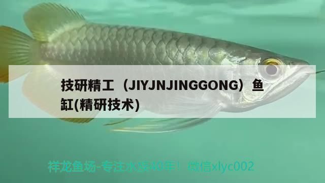 技研精工（JIYJNJINGGONG）魚缸，技研精工i魚v系列魚缸