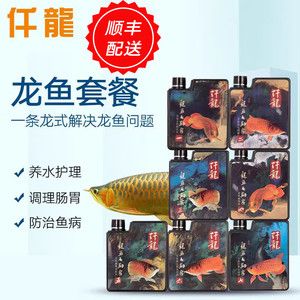 龍魚爛尾怎么辦，如何處理龍魚爛尾 龍魚百科 第1張