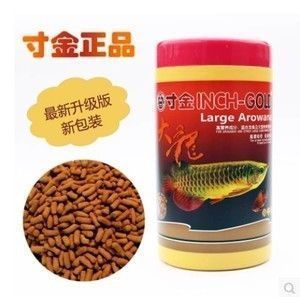 什么牌子的龍魚飼料好，龍魚飼料品牌選擇對于維持其健康和美觀至關(guān)重要