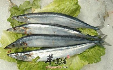 秋刀魚營養(yǎng)價(jià)值介紹，秋刀魚與其他魚類比較,秋刀魚烹飪方法介紹 觀賞魚市場(chǎng)（混養(yǎng)魚） 第5張