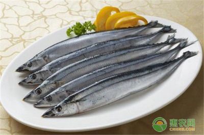 秋刀魚營養(yǎng)價(jià)值介紹，秋刀魚與其他魚類比較,秋刀魚烹飪方法介紹 觀賞魚市場(chǎng)（混養(yǎng)魚） 第2張