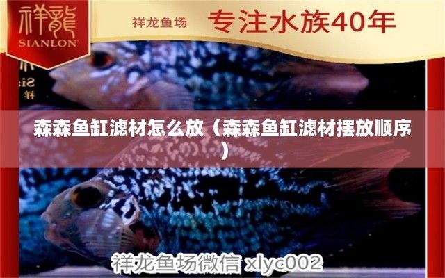 森森魚缸過濾材料擺放順序，森森魚缸過濾棉清洗頻率活性炭濾材更換周期生物過濾級維護技巧 魚缸百科 第4張